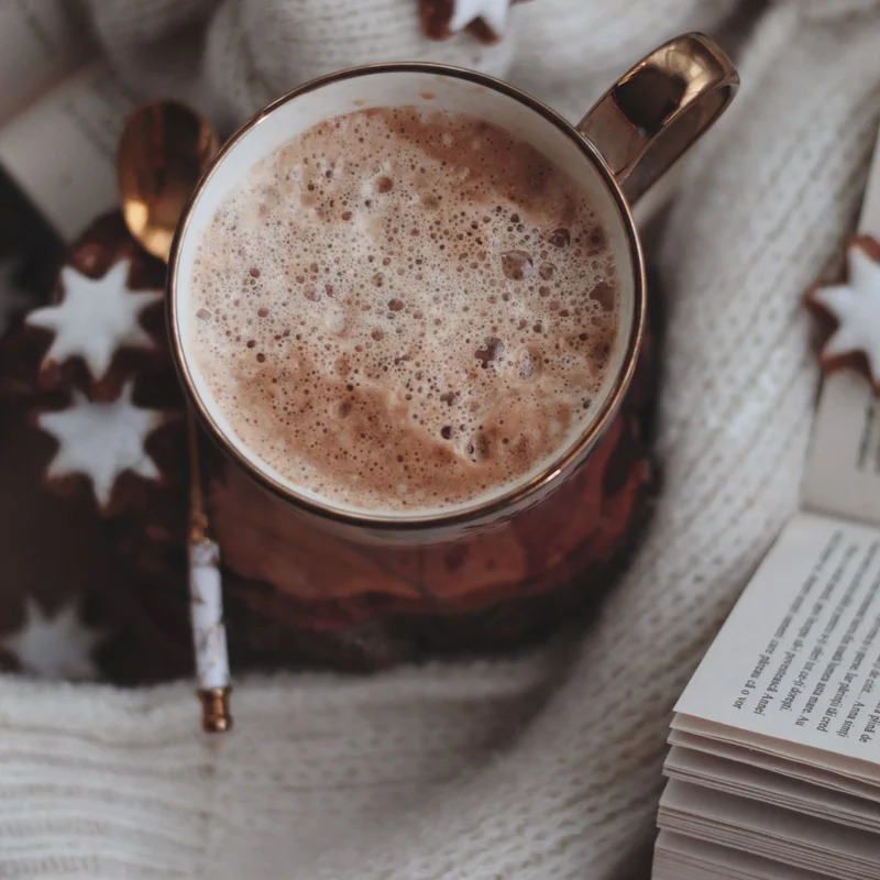 Ürün görseli: hotchoc2 Yoğun Sıcak Çikolata Tozu 1kg - Görsel 1