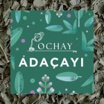 Adaçayı 50 Gr - Görsel 4