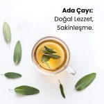 Adaçayı 50 Gr - Görsel 2