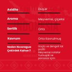 Endonezya Çekirdek Kahve 250 Gr - Görsel 3