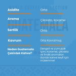 Guatemala Çekirdek Kahve 250 Gr - Görsel 3