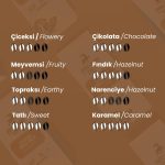 Kolombiya Single Origin Çekirdek Kahve 250 Gr - Görsel 3