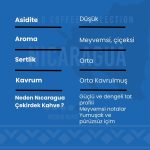 Nicaragua Çekirdek Kahve 250 Gr - Görsel 3