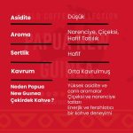 Papua New Guinea Çekirdek Kahve 250 Gr - Görsel 3