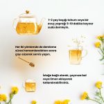 Rezene Çayı 100 Gr - Görsel 3