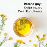 Rezene Çayı 100 Gr - Görsel 2