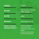 Tanzania Çekirdek Kahve 250 Gr - Görsel 3